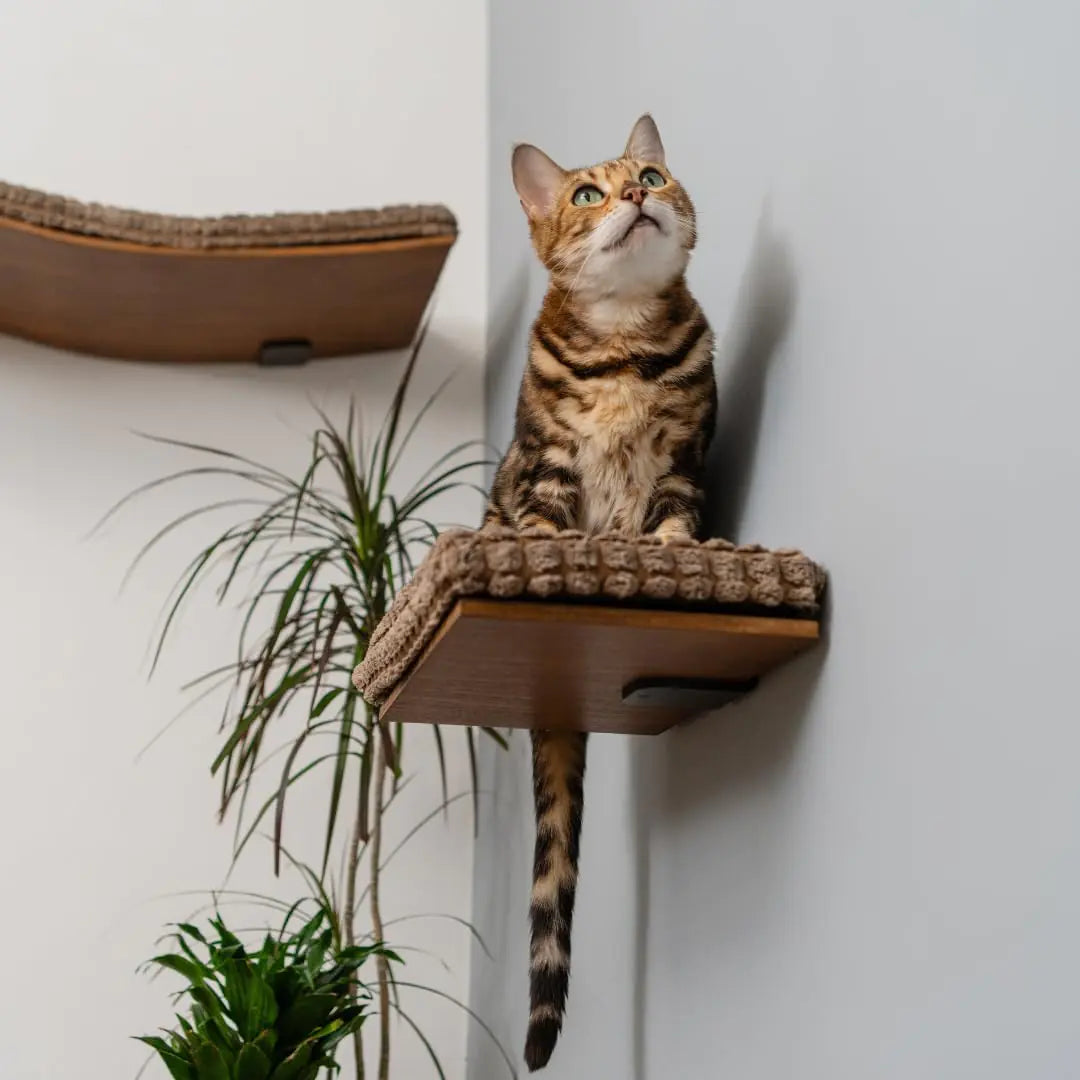 Kitsune Garden Cat Step Wall Mounted Shelf