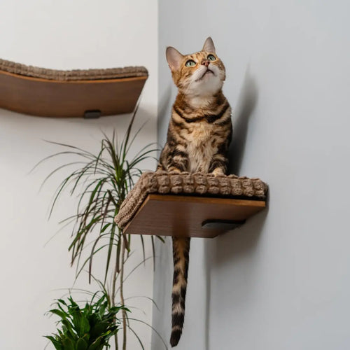 Kitsune Garden Cat Step Wall Mounted Shelf